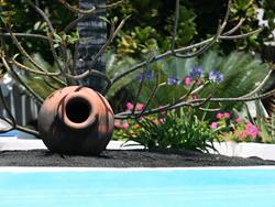 Lanzarote - Canary Islands - scuba diving holiday. Mansion Apartments garden.